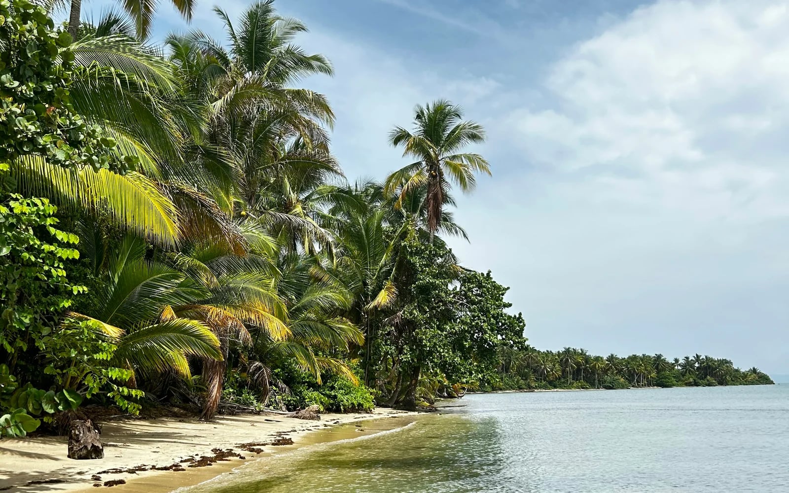 Surf à Bocas del Toro, Panama