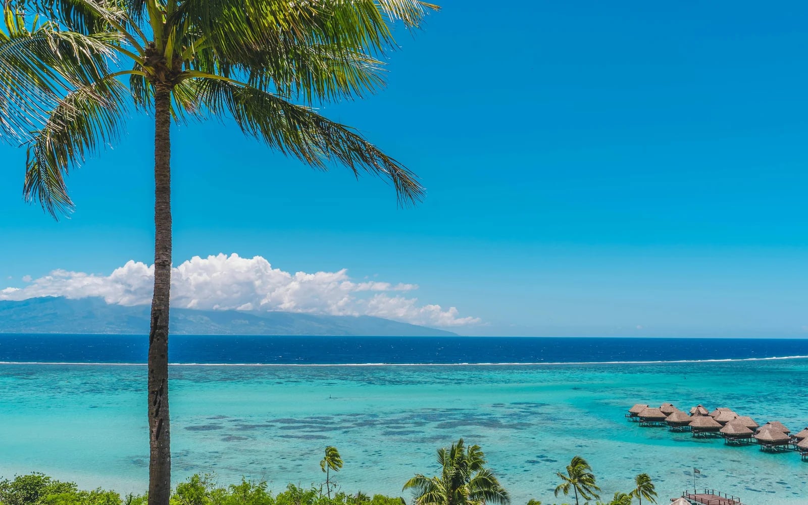 Surf à Moorea (Haapiti), Polynesie francaise (FR)