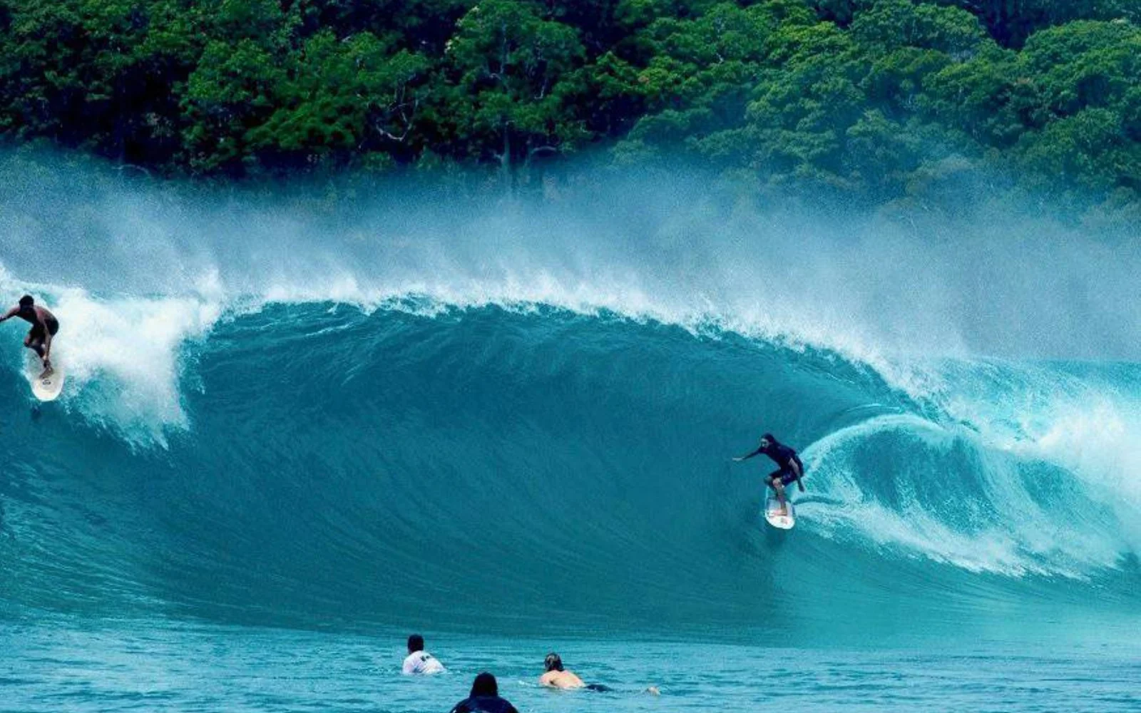 Surf à Noosa, Australie