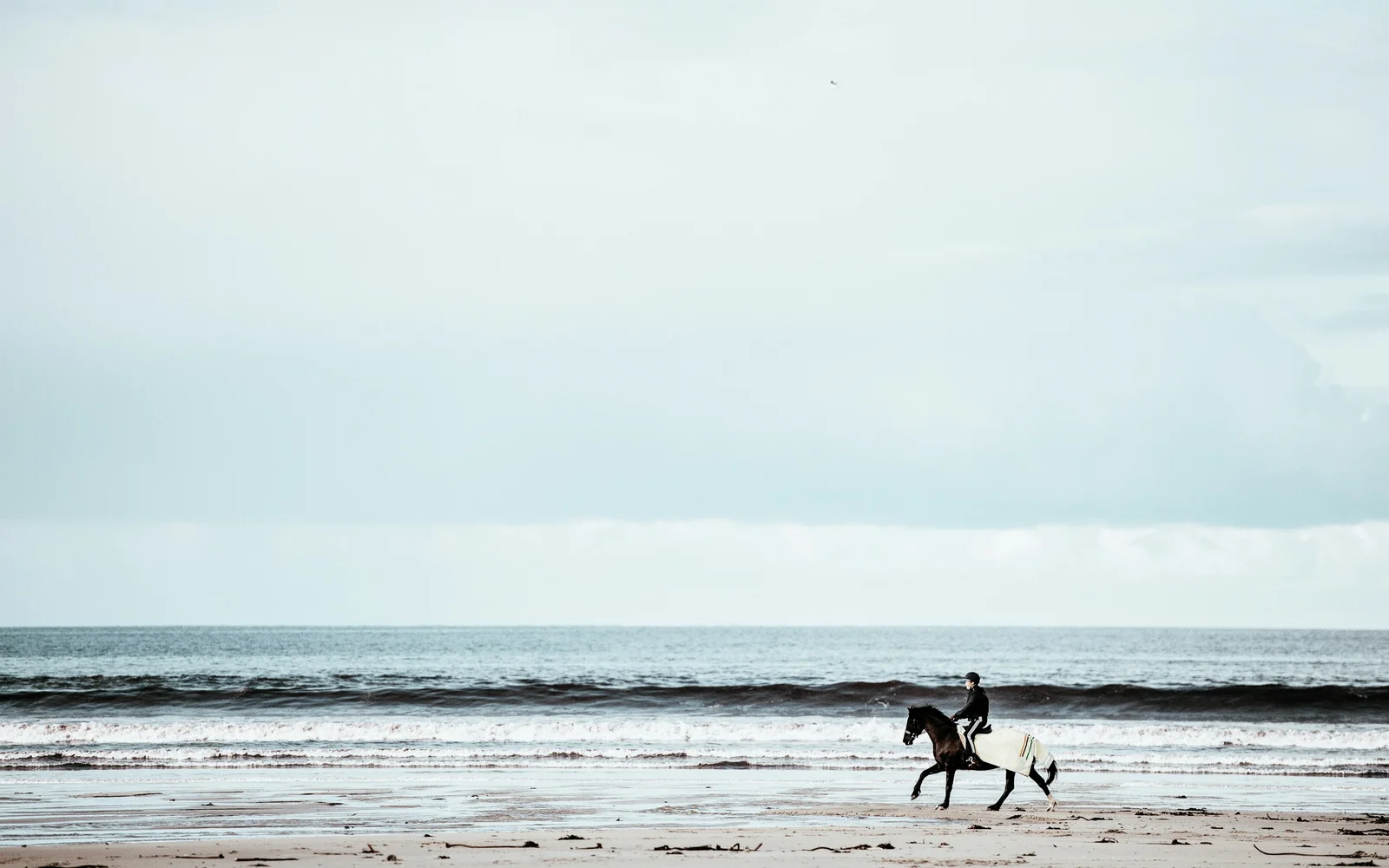 Surf à Thurso (Ecosse), Royaume-Uni
